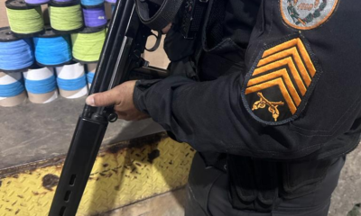 apreensão de linha chilena em loja de Campo Grande