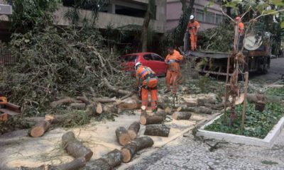 Ventania derruba árvores em diversas regiões do Rio