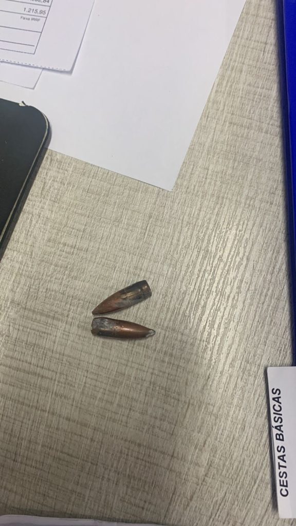 Cachorro de raça é atingido por bala perdida durante guerra no Morro do Jordão