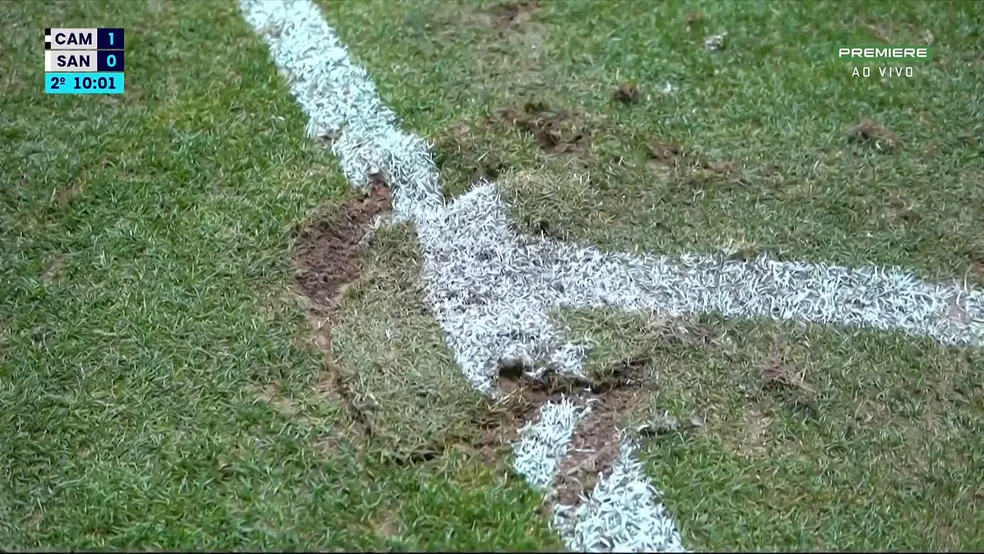 Gramado da Arena MRV