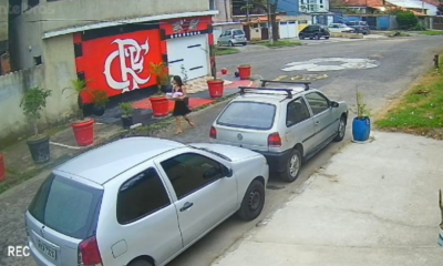 mulher abandona filhotes de cachorro em Campo Grande