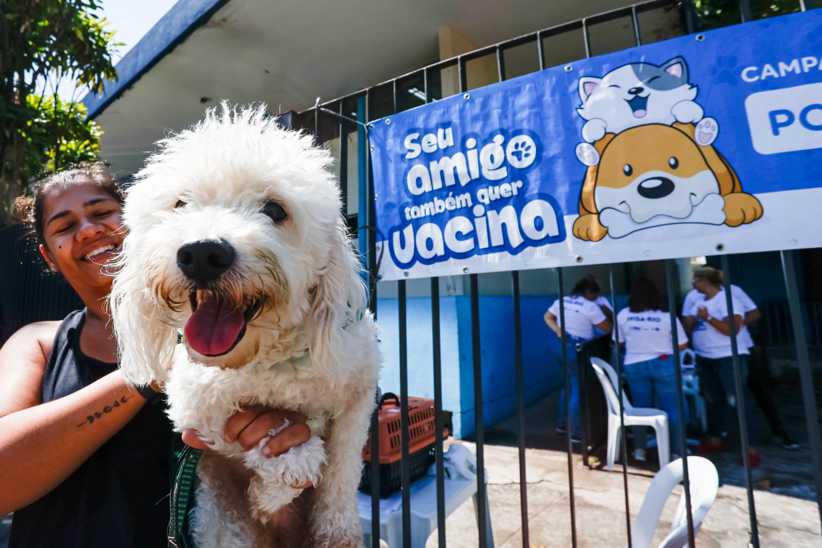 Paquetá recebe vacinação antirrábica neste sábado (Foto: Divulgação)