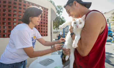 Campanha de Vacinação Antirrábica na Zona Norte do Rio (Foto: Edu Kapps/SMS-Rio)