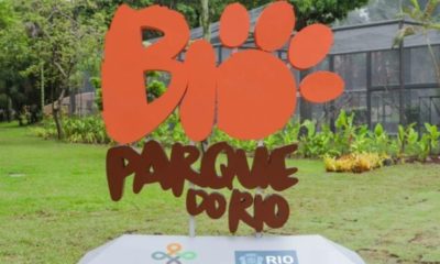 BioParque do Rio convida o Luccas Neto e os Aventureiros para o 'Mês das Crianças' (Foto: Divulgação)