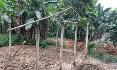 [EXCLUSIVO] Trio é preso em abatedouro clandestino de cavalos em Guapimirim (Foto: Divulgação)