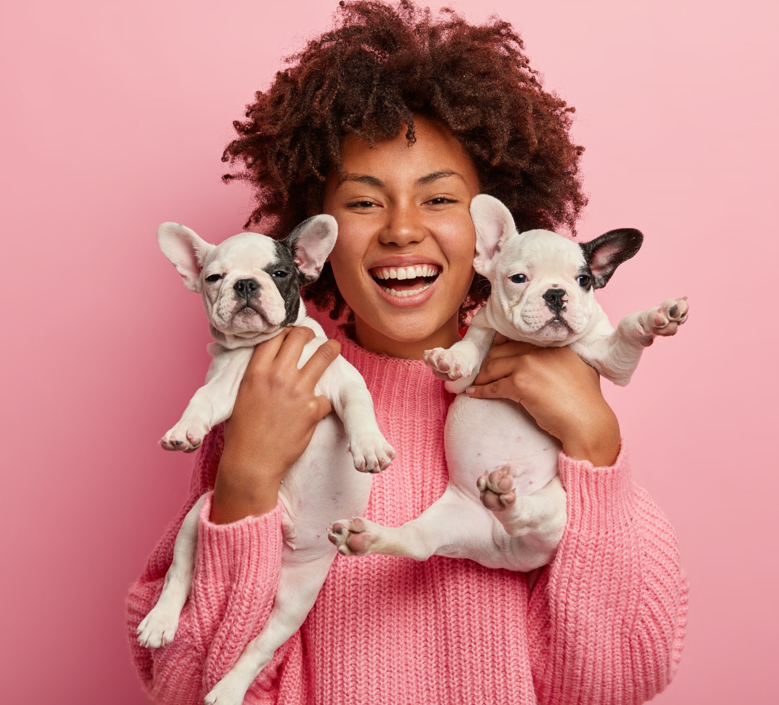 Outubro Rosa Pet: campanha também abraça saúde dos animais