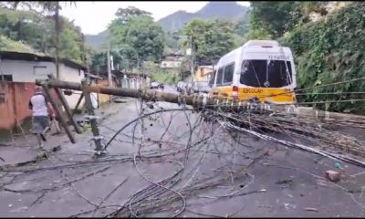 Queda de árvore deixa moradores do Jardim Botânico sem energia