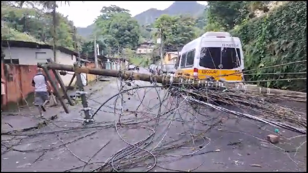 Queda de árvore deixa moradores do Jardim Botânico sem energia