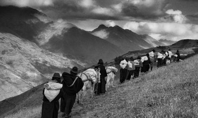 Última semana para visita a exposição êxodos, de Sebastião Salgado (Foto: Sebastião Salgado/ Divulgação)