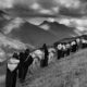 Última semana para visita a exposição êxodos, de Sebastião Salgado (Foto: Sebastião Salgado/ Divulgação)