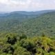 Desmatamento na Amazônia cai 22,3% entre agosto de 2022 e julho de 2023 (Foto: TV Brasil/ Divulgação)