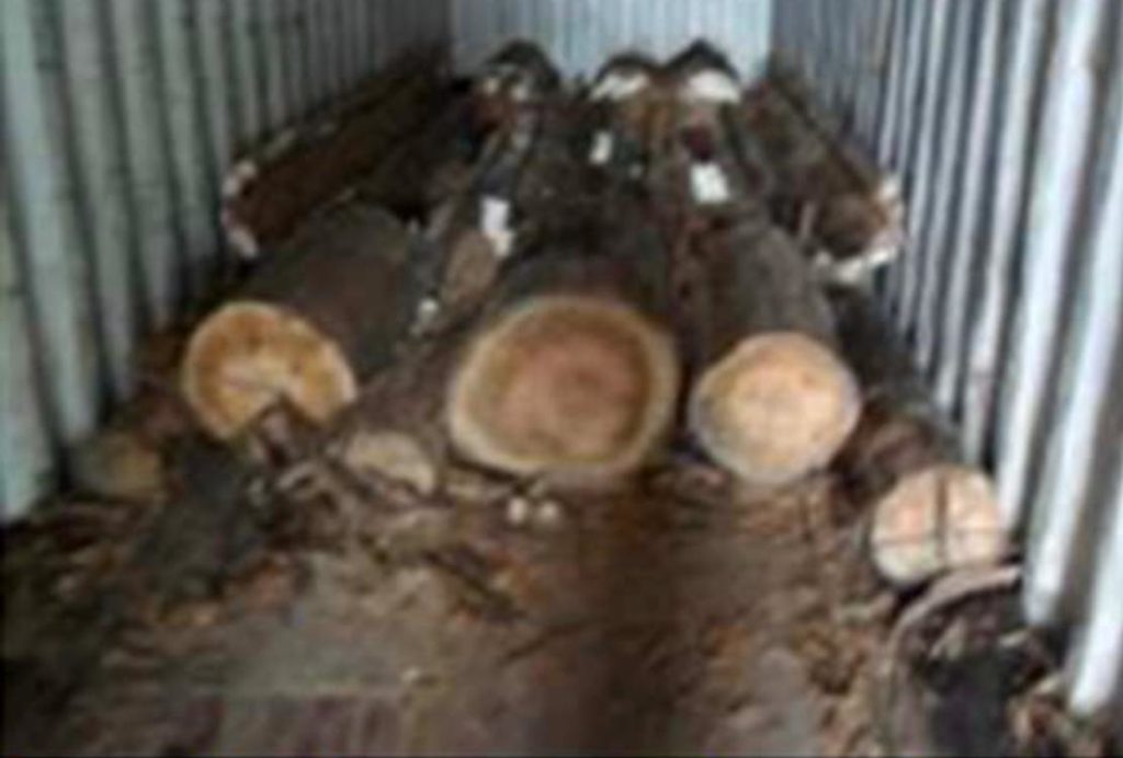 Droga apreendida pela Polícia Federal