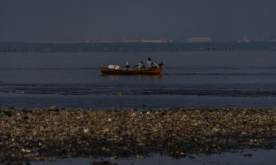 Pescadores e catadores de caranguejos retiram grande quantidade de resíduos plásticos de ‘ilha de lixo’ na Baía de Guanabara (Foto: Rodrigo Campanário/ Divulgação)