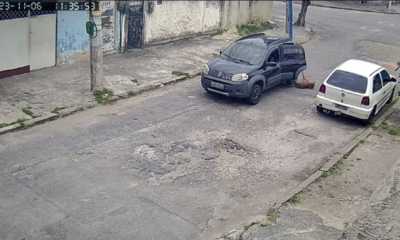 CACHORRO MORRE APÓS SER ARREMESSADO DE CARRO EM MOVIMENTO DURANTE ASSALTO EM bANGU