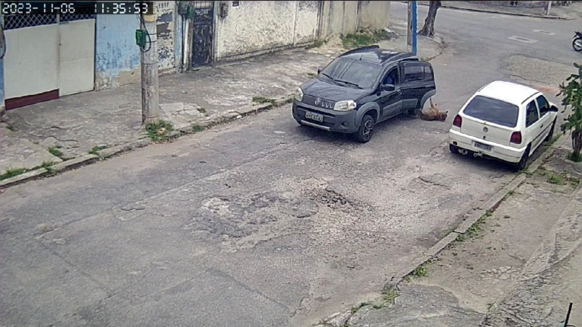 CACHORRO MORRE APÓS SER ARREMESSADO DE CARRO EM MOVIMENTO DURANTE ASSALTO EM bANGU