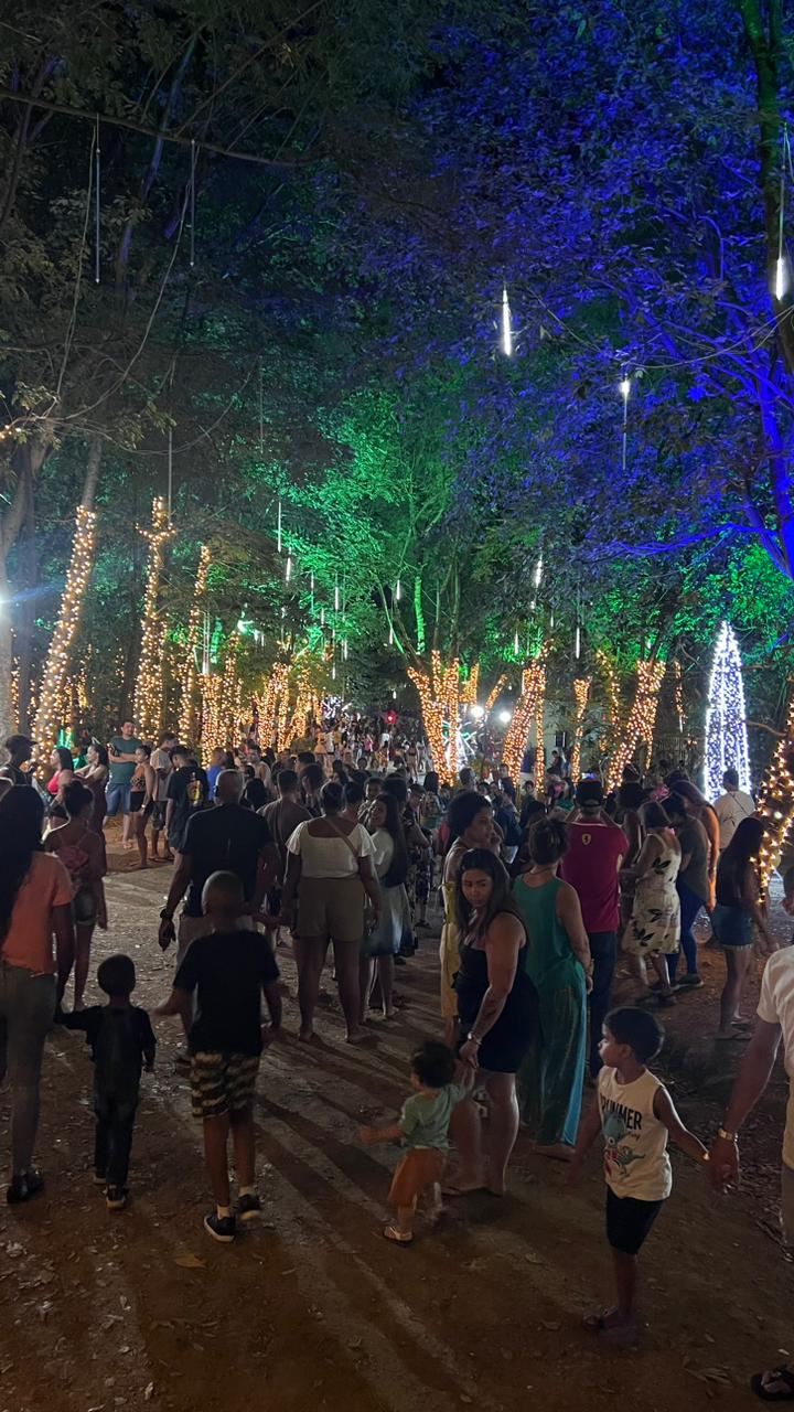Horto de Queimados tem atraído milhares de pessoas para curtir a decoração de Natal (Foto: Divulgação)