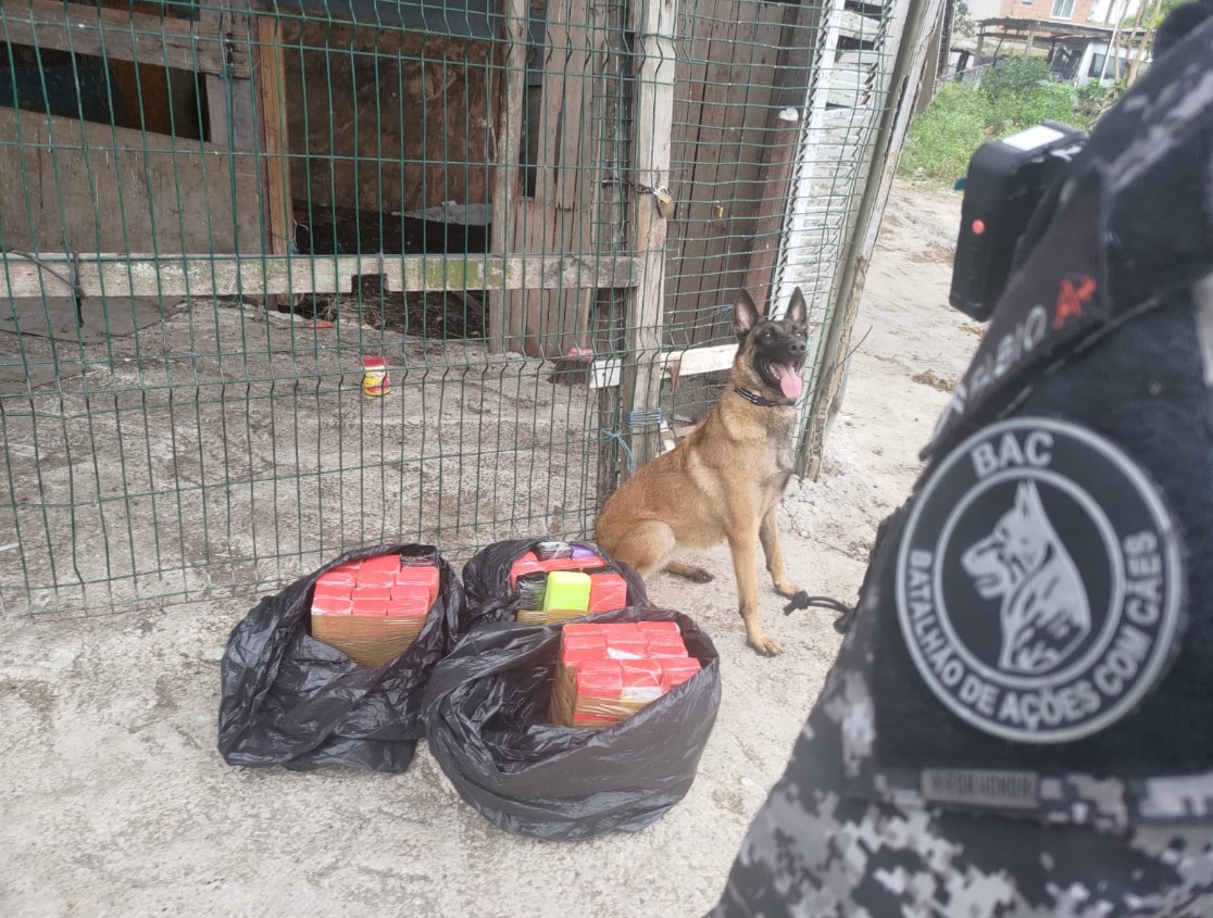 Operação da Polícia Militar na Cidade de Deus