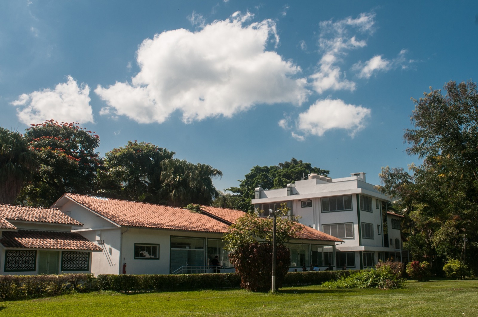 Clínica Jorge Jaber oferece cursos gratuitos para formação de terapeutas e profissionais de serviço social na área da saúde mental (Foto: Divulgação)