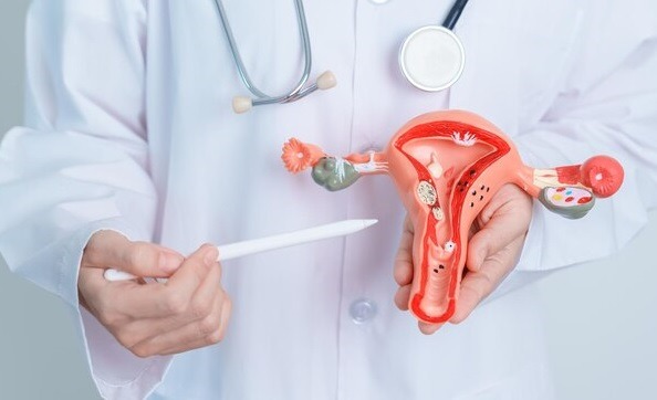 Endometriose: uma em cada 10 mulheres no Brasil sofre com os sintomas da doença (Foto: Divulgação)