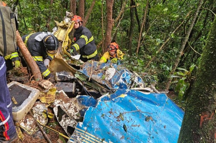 Queda de avião termina com dois mortos em São Paulo (Foto: Divulgação)