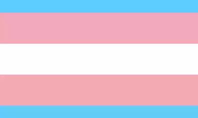 Liderança Trans do Rio promovem atividades especiais pelo Dia Nacional da Visibilidade de Travestis e Transexuais (Foto: Divulgação)