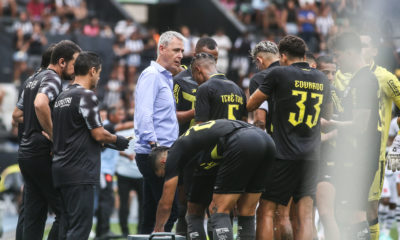 Tiago Nunes Botafogo Elenco