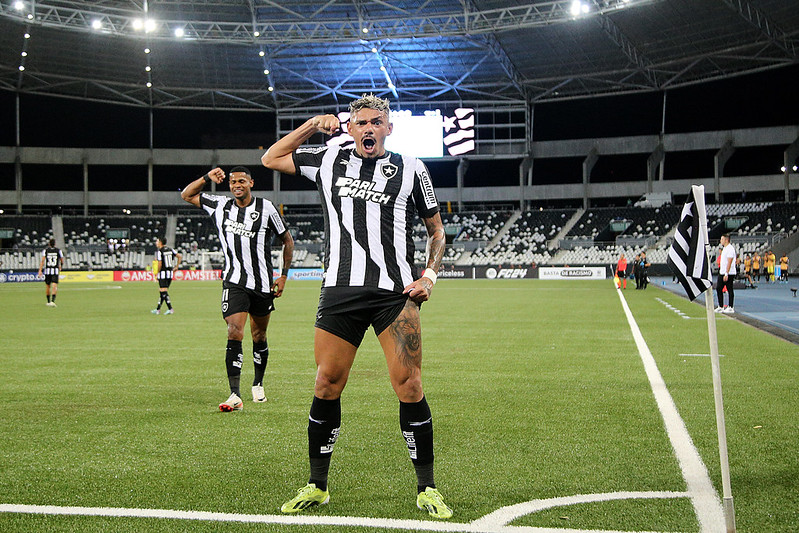 Tiquinho Soares comemora gol pelo Botafogo