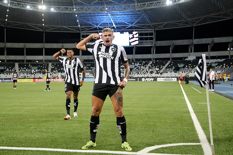 Tiquinho Soares comemora gol pelo Botafogo