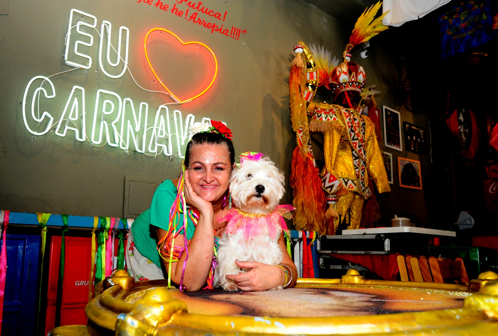 Pets em ritmo de carnaval