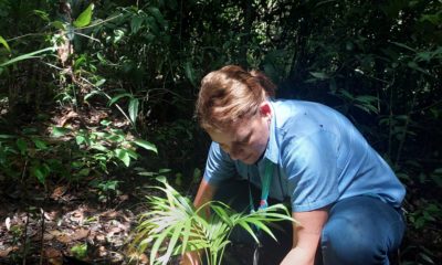 Águas de Niterói realiza reflorestamento do Parque da Cidade