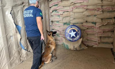 (Foto: Divulgação)