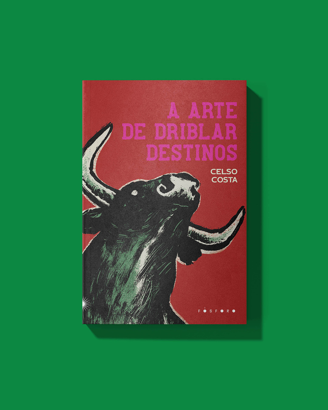 Romance "A Arte de Driblar Destinos"