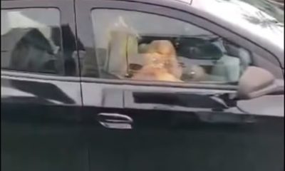 Proibido para menores! Câmera flagra casal fazendo sexo oral no trânsito (Foto: Divulgação)