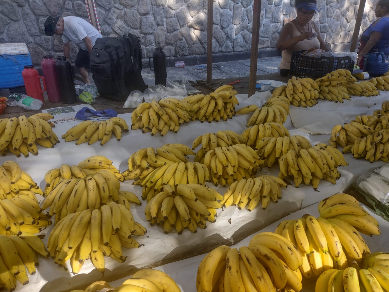 Banana (Foto: Thalyson Martins/ Super Rádio Tupi)