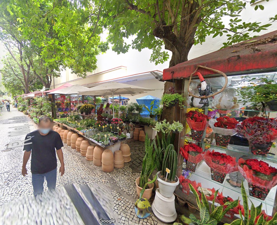 Rua das Flores na Tijuca
