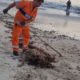 Comlurb retira mais de 17 toneladas de algas marinhas em Copacabana (Foto: Divulgação)
