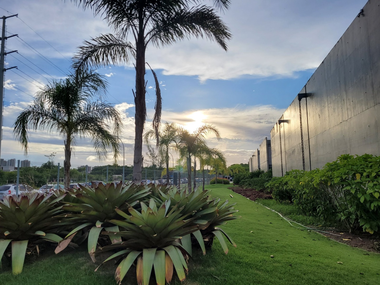 Ê calor! Previsão para este domingo passa dos 40ºC (Foto: @Yoneabelaira/ Divulgação: COR)