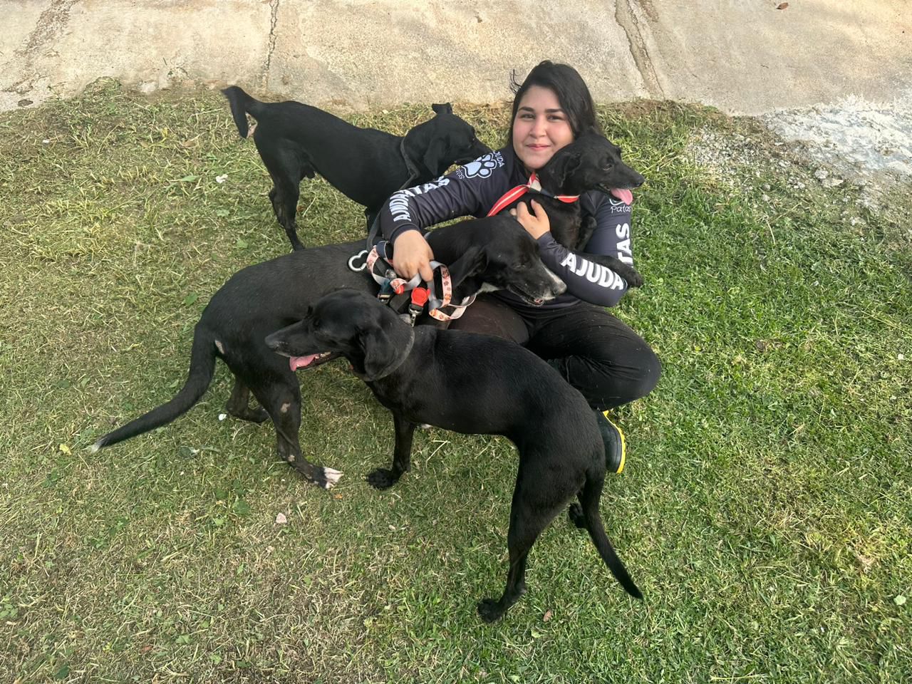 Abandono de cachorros alcança níveis preocupantes no Rio (Foto: Divulgação)
