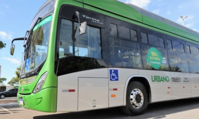 (Foto: Divulgação)