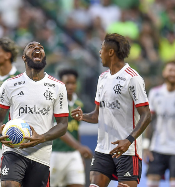 Palmeiras x Flamengo (FOTO: Marcelo Cortes/Flamengo)