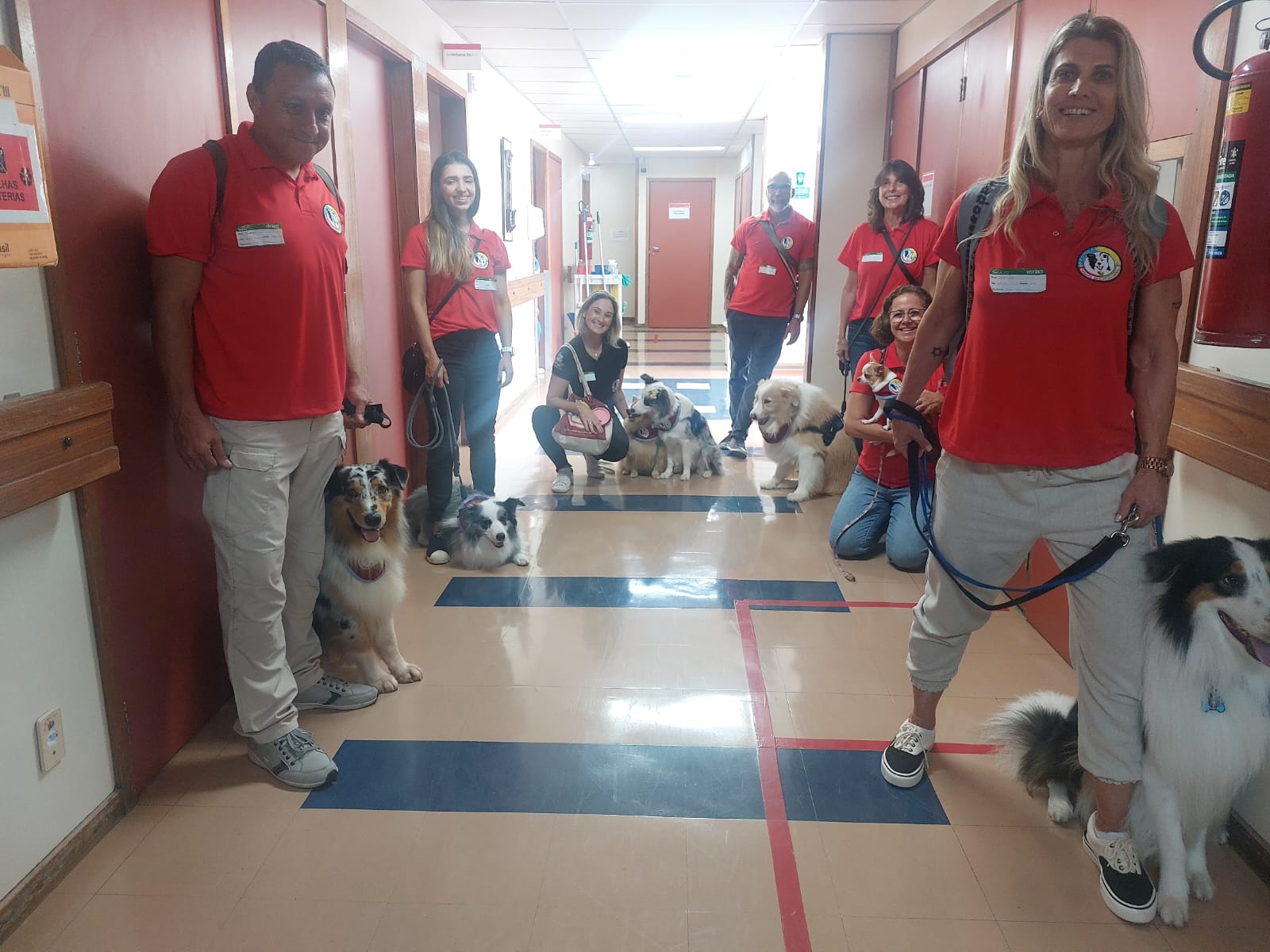 Pacientes do INCA poderão contar com nova terapia assistida por cães (Foto: Divulgação)