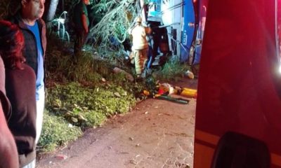 (Foto: Divulgação)