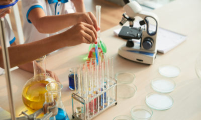 Fundação Cecierj abre inscrições para bolsistas que querem atuar em programas de divulgação científica (Foto: Freepik/ Divulgação)