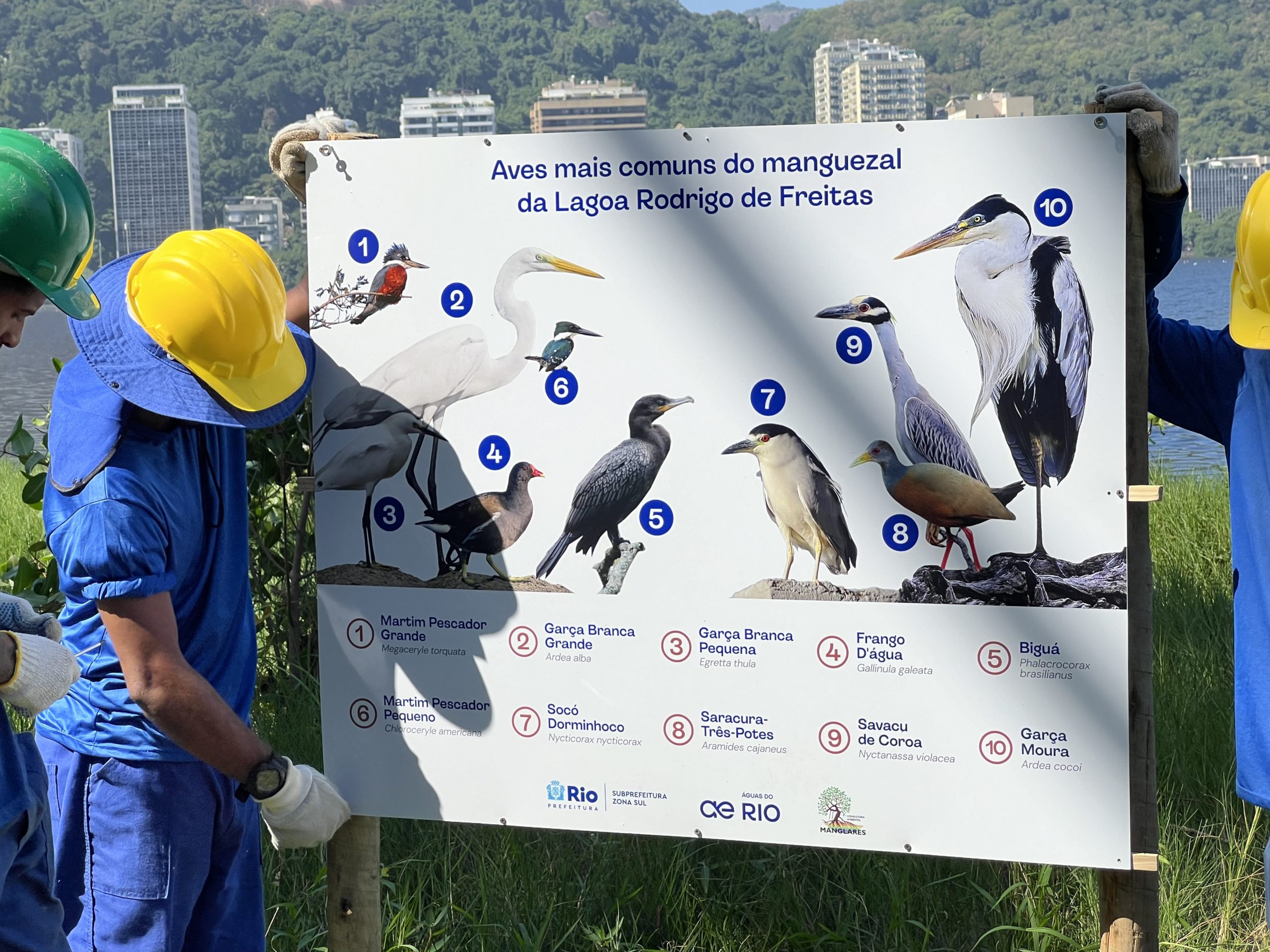 (Foto: Divulgação)