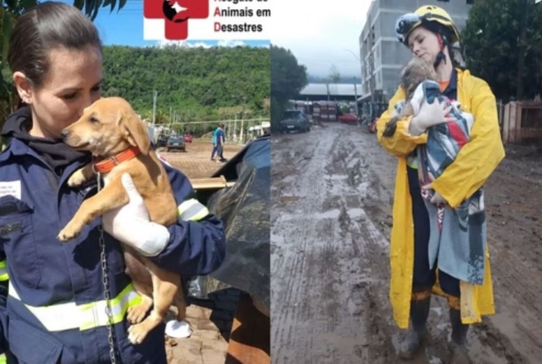 Resgate animais no Rio Grande do Sul.