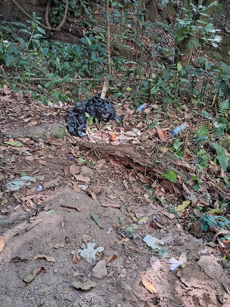Local onde israelense é encontrada morta em Santa Teresa.