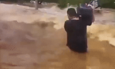 Morador de Porto Alegre enfrenta ondas de 1,5 m do rio Guaíba ao resgatar gatos.