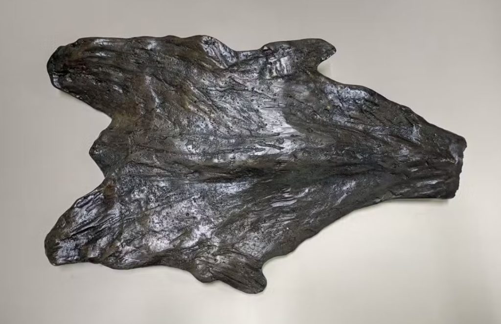 Imagem do bacalhau que compõe a estátua antes de ser vandalizado.