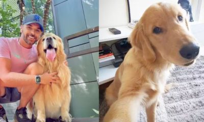 João Fantazzini e Joca, cão que morreu em transporte aéreo da Gol