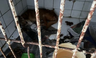 fiscalizacao procon rj baixada